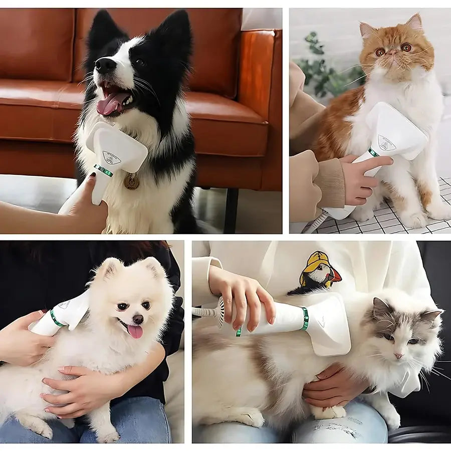 CEPILLO SECADOR PEINE 2 EN 1 MASCOTAS